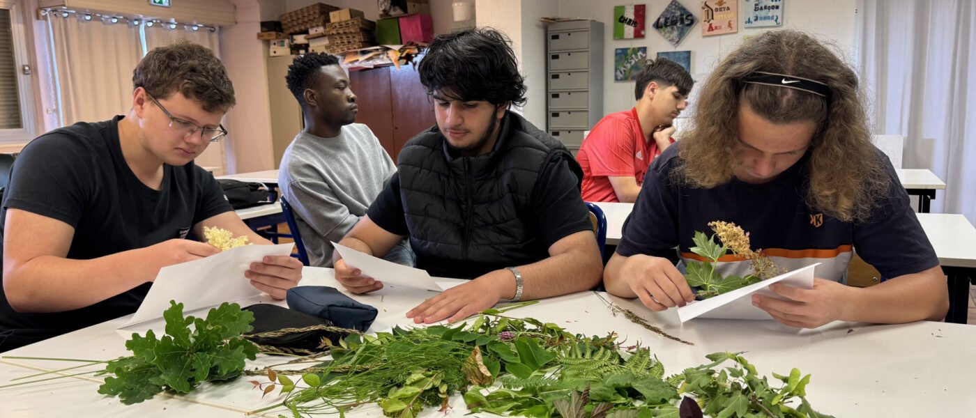 Lumière sur la mare du lycée : un atelier cyanotype écologique