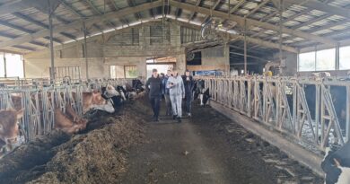 Sortie à la ferme de Zellen pour les 3PM