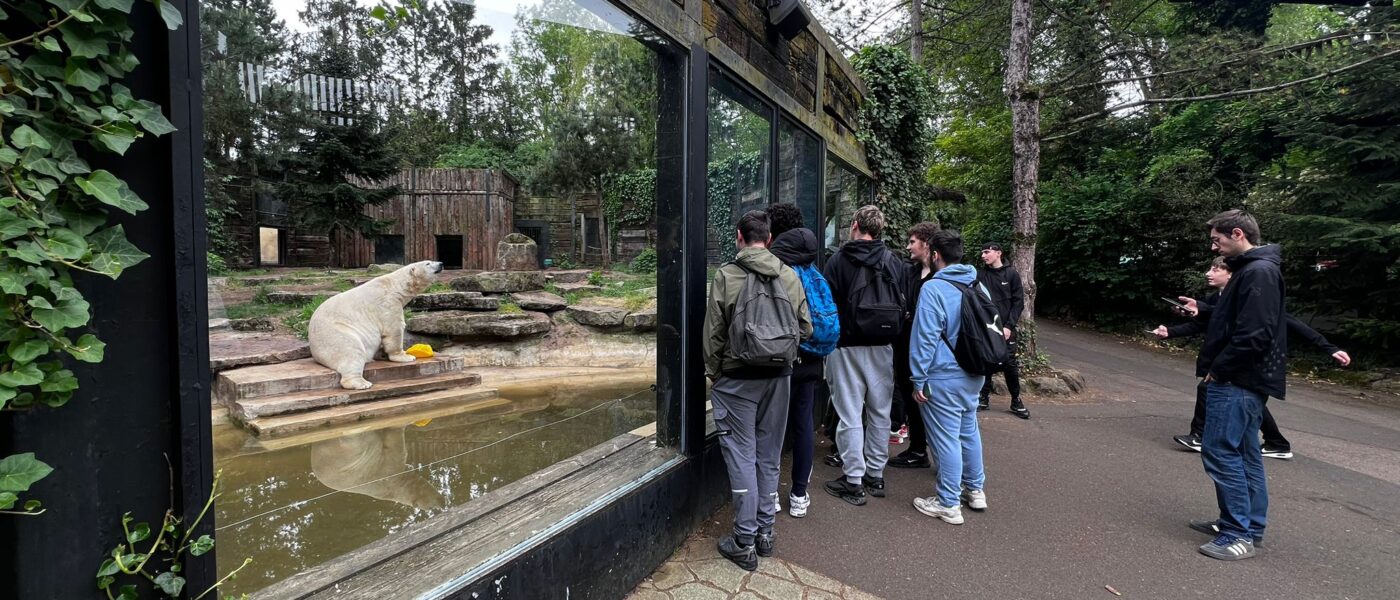 Les 3PM à la découverte du monde animal au zoo