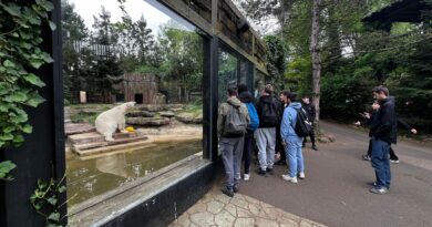 Les 3PM à la découverte du monde animal au zoo